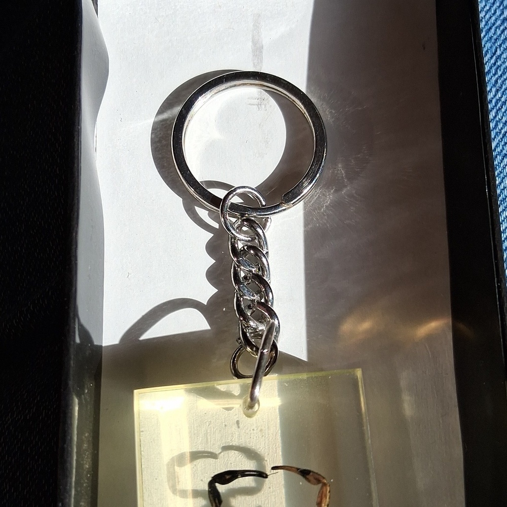 Scorpion Key Ring - Picture 2 of 4